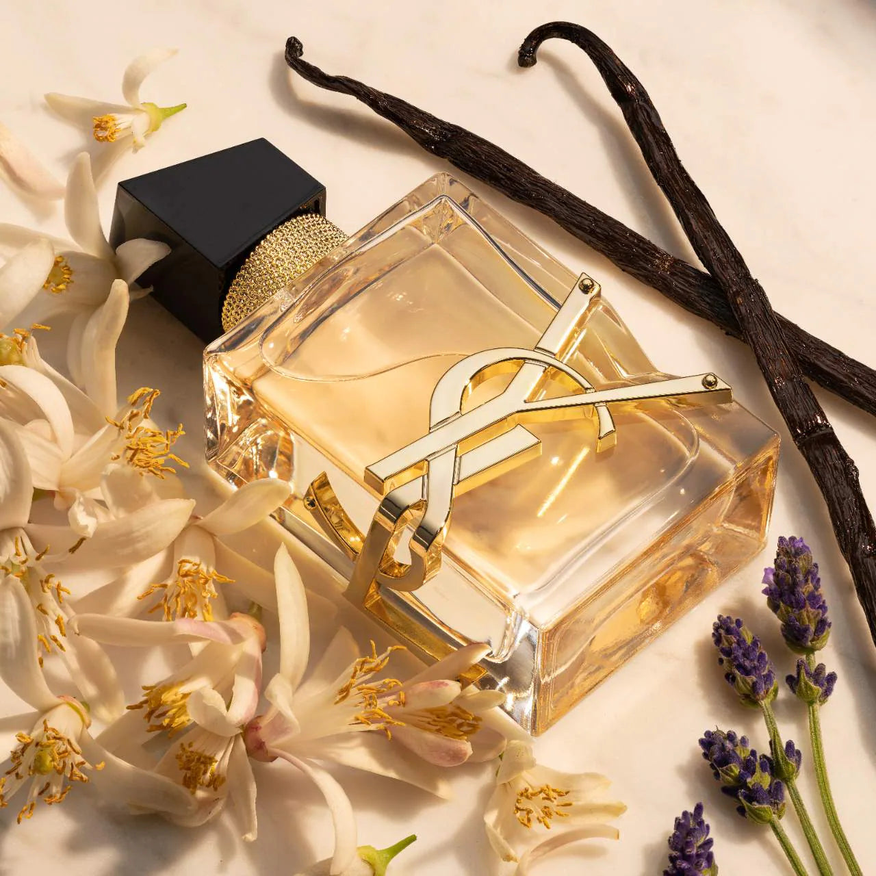 Lin senior YSL free EA UD EPA RF um