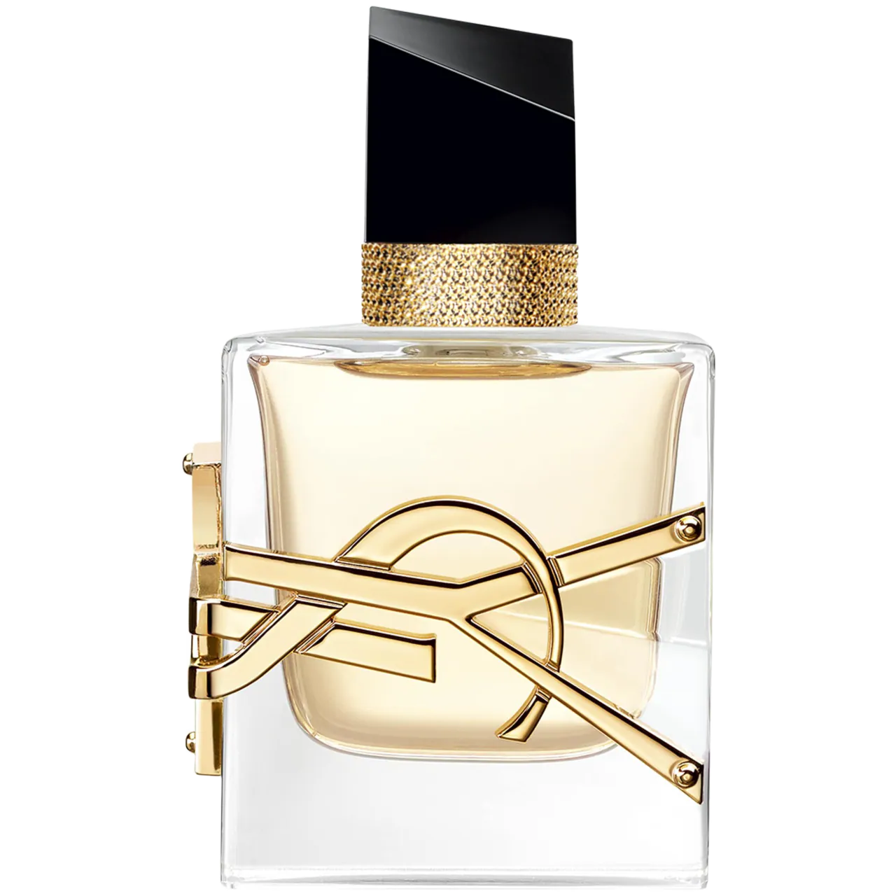 Lin senior YSL free EA UD EPA RF um