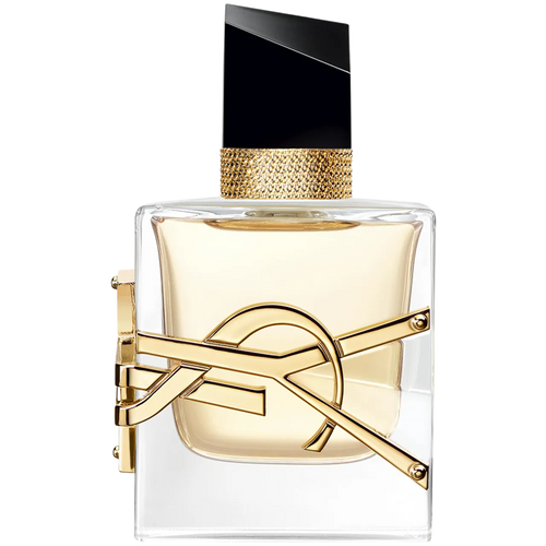 Lin senior YSL free EA UD EPA RF um