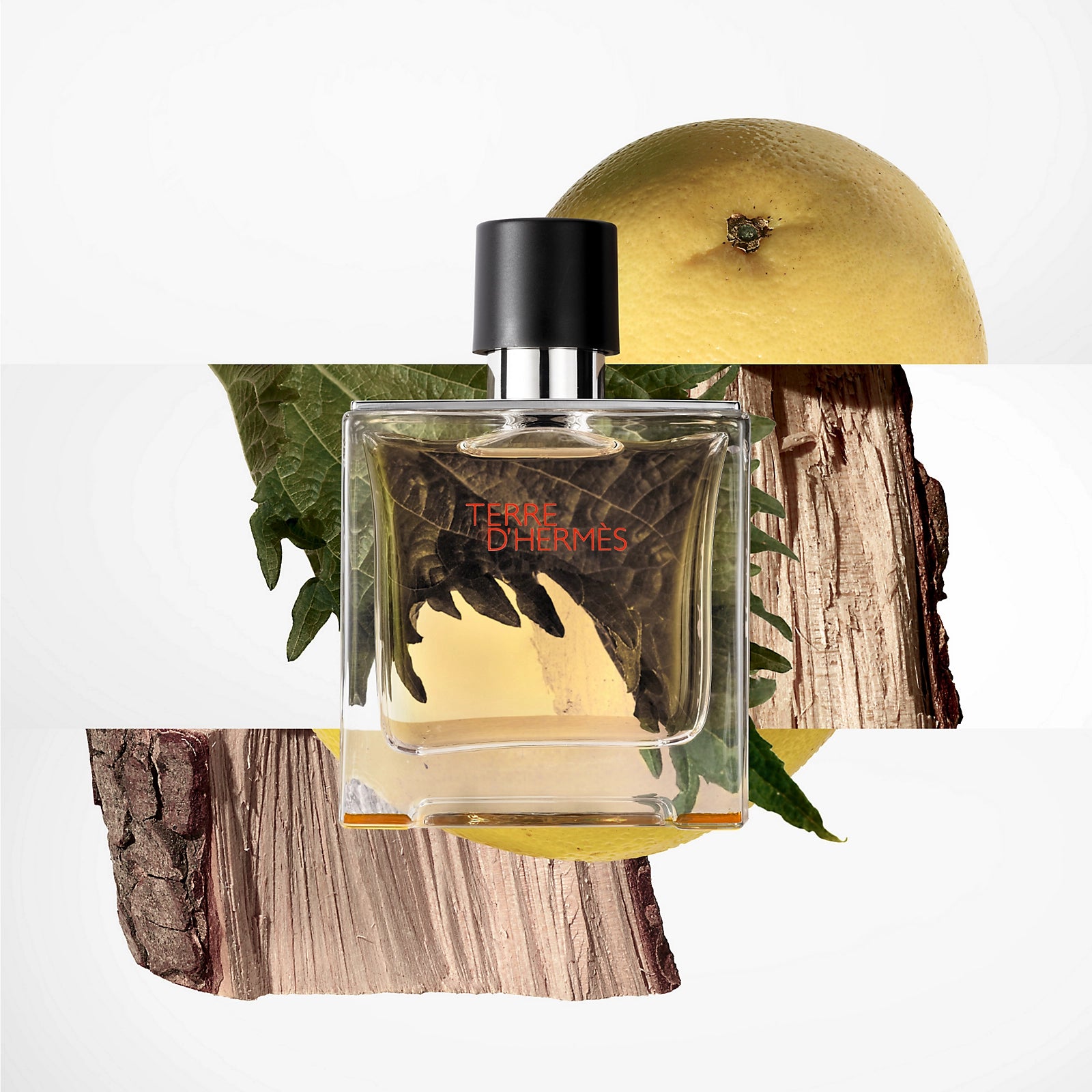 Lingling HERMÈS TERRE D'HERMÈS Toilet Water | Iconic wooded men's fragrance | Luxury cologne for men
